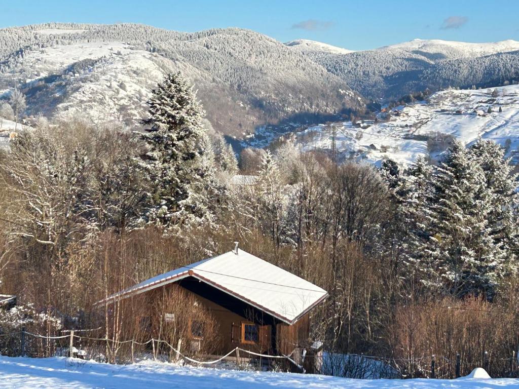 Chalet Les Bouleaux, la montagne des lamas