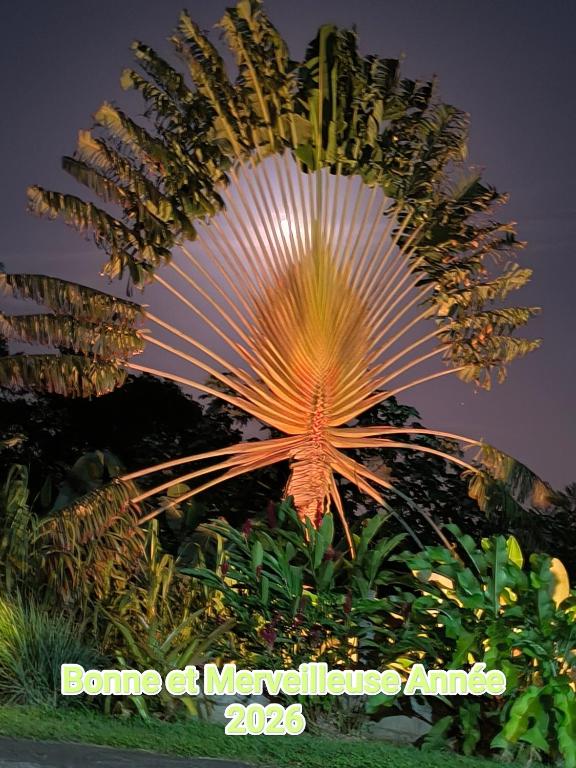 En have udenfor Concept Kreyol