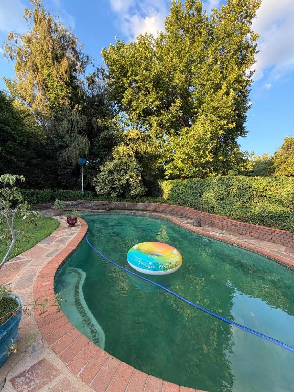 a swimming pool with a frisbee in the water at Moya Guesthouse in Johannesburg