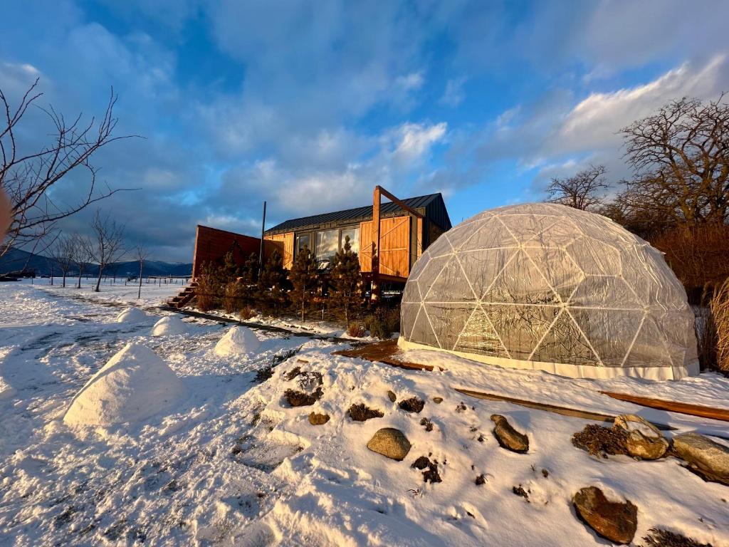 Phong cảnh thiên nhiên gần nhà gỗ