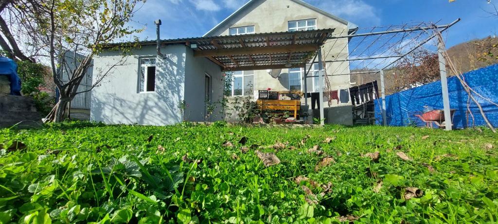 Kebun di luar Beloved Home