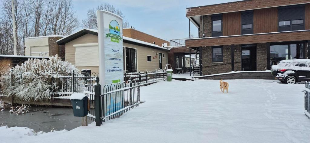 un cane che sta sulla neve di fronte a un edificio di Vinkestek Verhuur a Vinkeveen