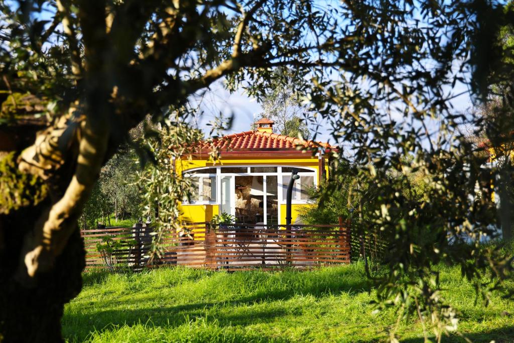 a yellow house with a red roof in a field at Quinta Ivonne in Montemor-o-Velho