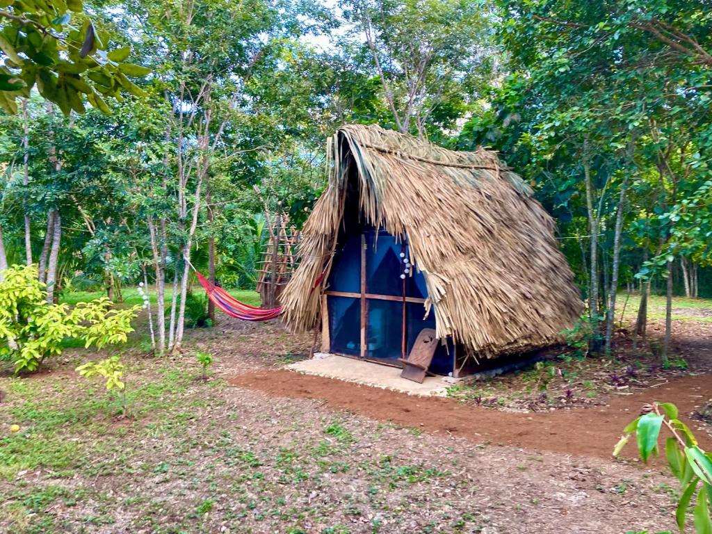 Eco Farmstay near Corozal Belize Quiet Nature Stay