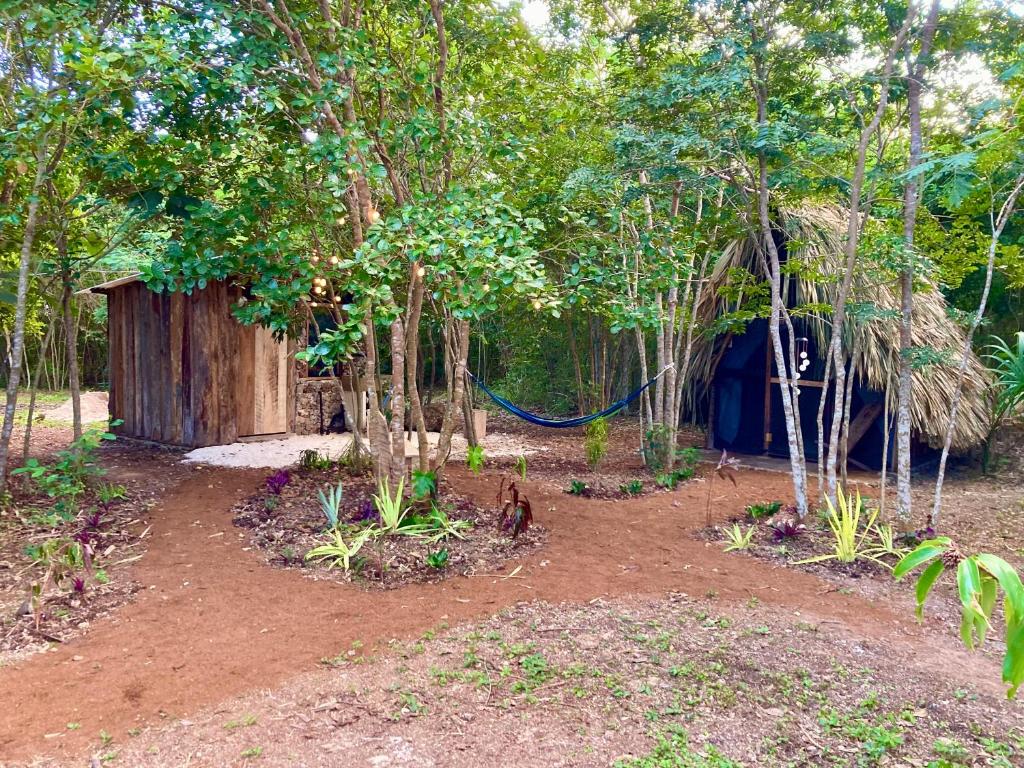 Eco Farmstay near Corozal Belize Quiet Nature Stay