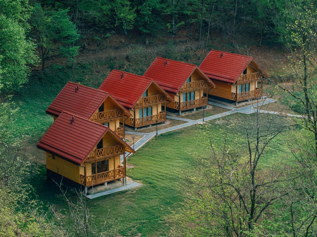 an overhead view of a row of log homes with red roofs at Agro Domki Pod Jesionem in Kudowa-Zdrój