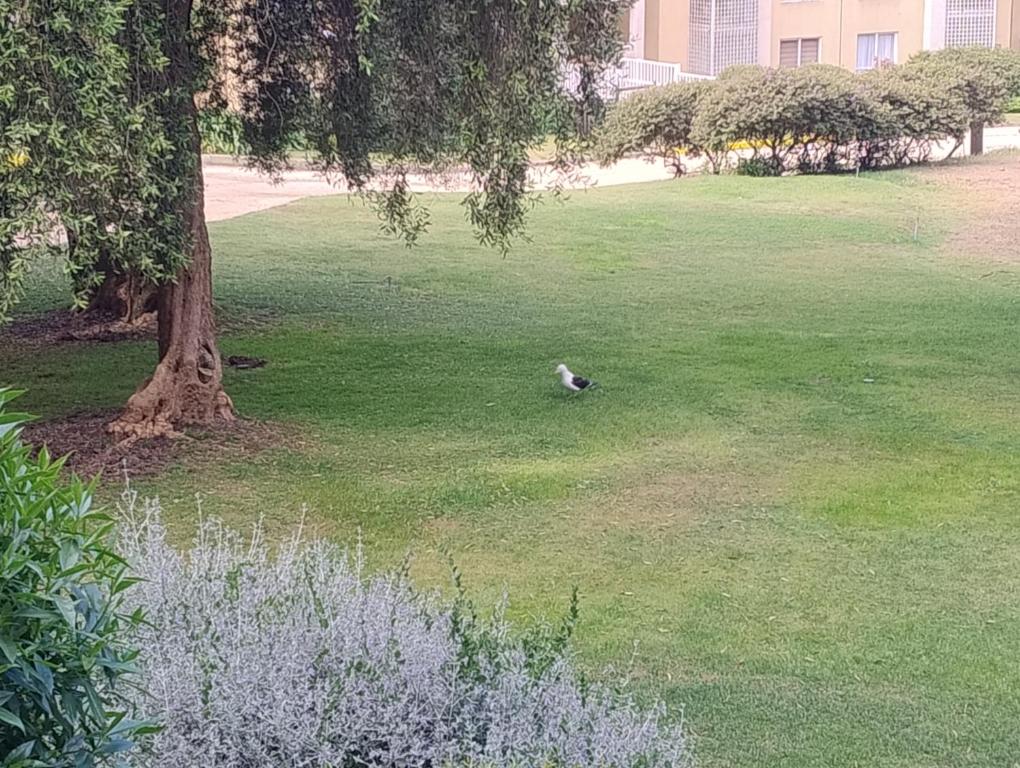Vườn quanh Playa y Bosque Mar , Departamento en Horcón