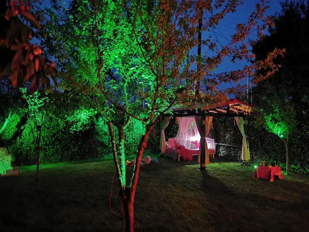a tree in a yard with green lights at Patty's House Kallikratia in Vergia