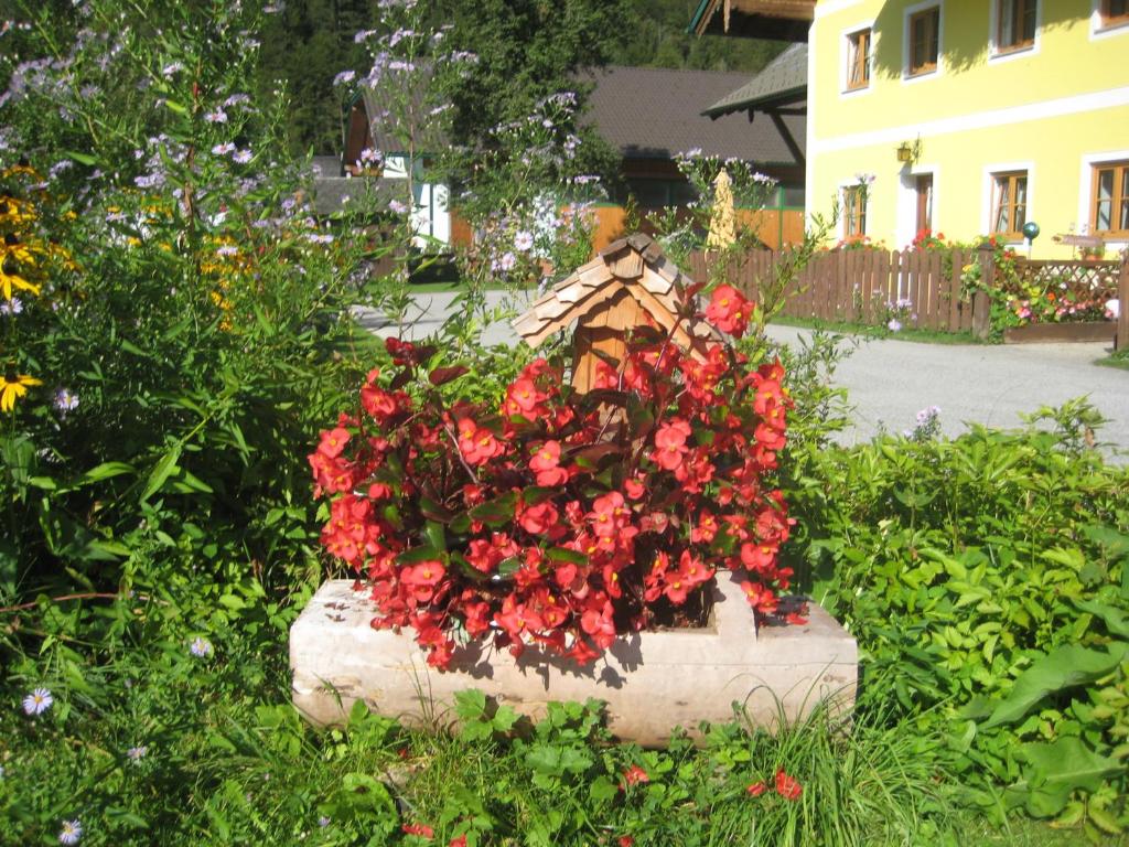 Zahrada ubytování Biobauernhof Hauserbauer