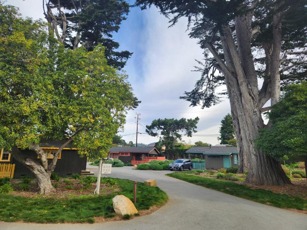 a street in a residential neighborhood with trees at Carmel River Inn & Cottages in Carmel