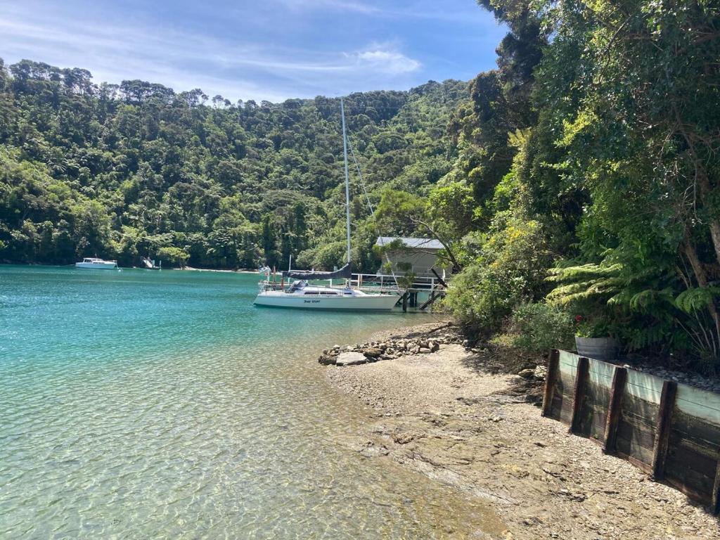 a boat is docked on the shore of a beach at Portobello Bach Double Cove in Lochmara Bay