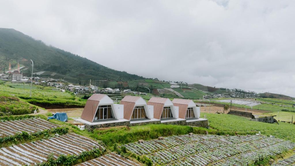 a row of small buildings in a field of crops at Dieng Khatulistiwa By Travelink in Diyeng