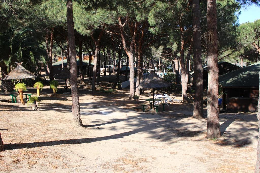 Fotografie z fotogalerie ubytování Résidence Tramariccia v destinaci Calvi