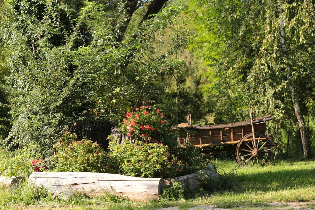 a garden with a wooden cart in the grass at Fonfa Liget in Sénye