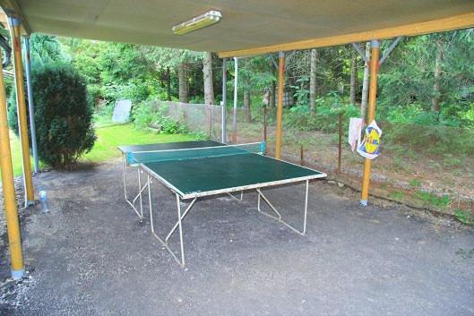 Stolní tenis v ubytování U Myslivce nebo okolí