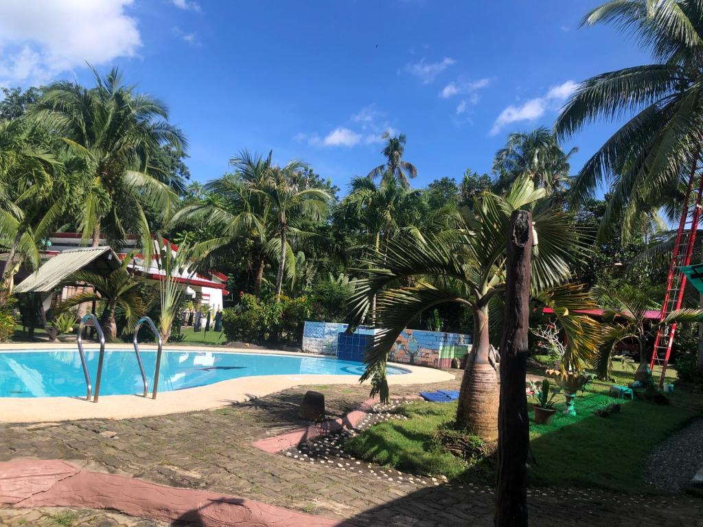 a swimming pool with a palm tree next to it at Skipper Joes Resort in Dauis