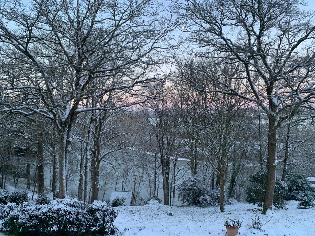 een met sneeuw bedekt park met bomen en een brandkraan bij Le Manoir des Rochers in Bouère