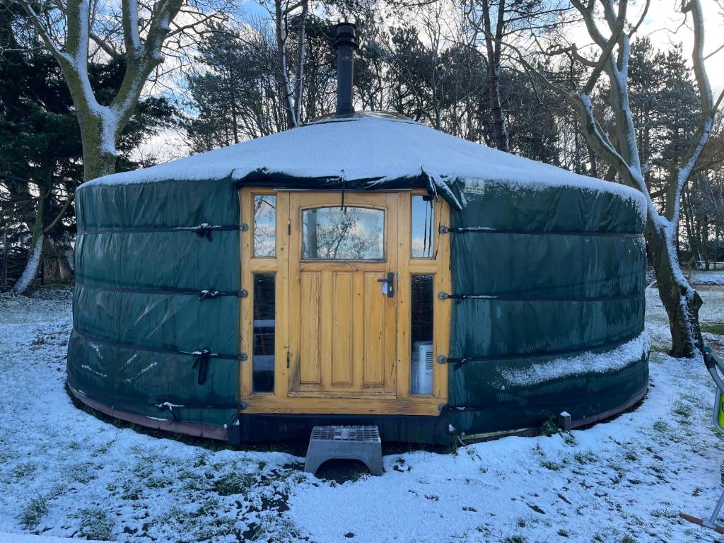 Flower Power om vinteren