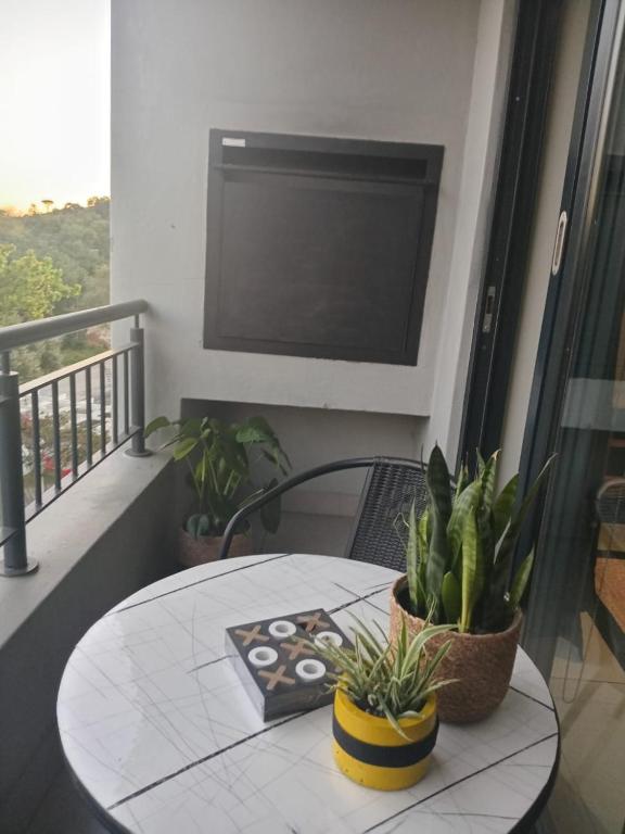 a table with plants on a balcony with a television at The Den Apartements Stellenbosch in Stellenbosch
