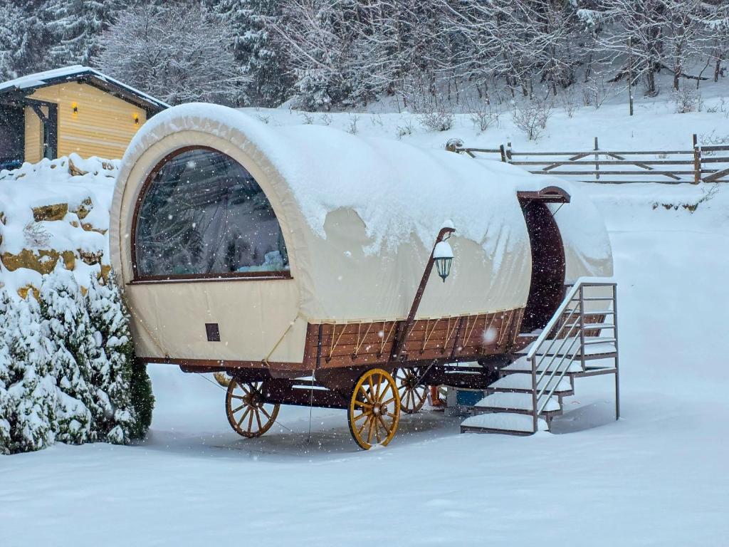 een ouderwetse paardenkoets bedekt met sneeuw bij Nomad by Hora cu Brazi in Zărneşti