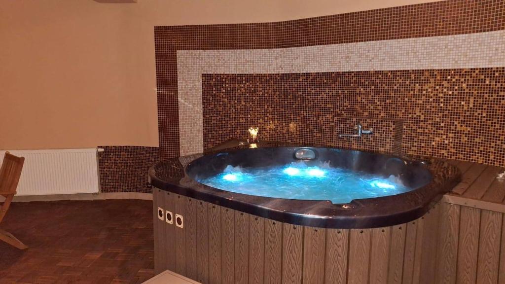 Bieszczadzka Ostoja - 17