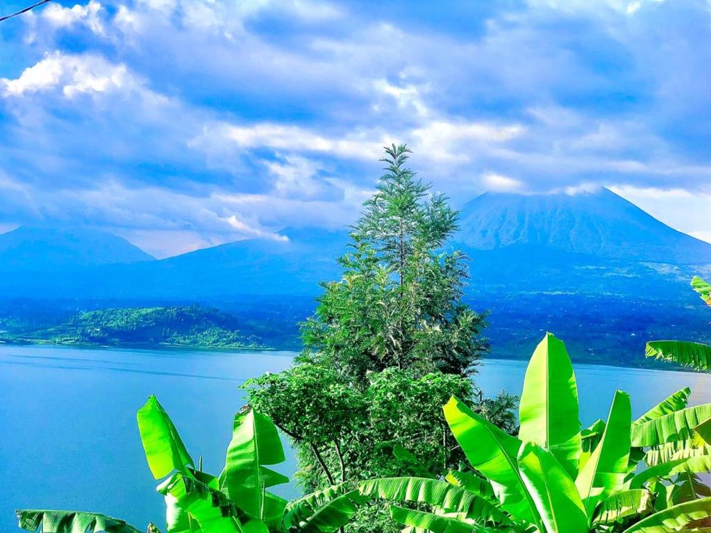 Local Hiking and Boats Experience