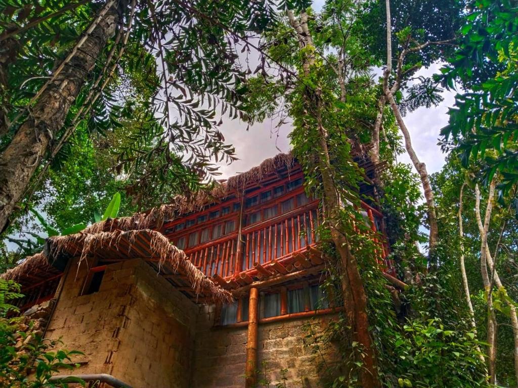 a house in the jungle with trees around it at River cottage Demodara in Demodera