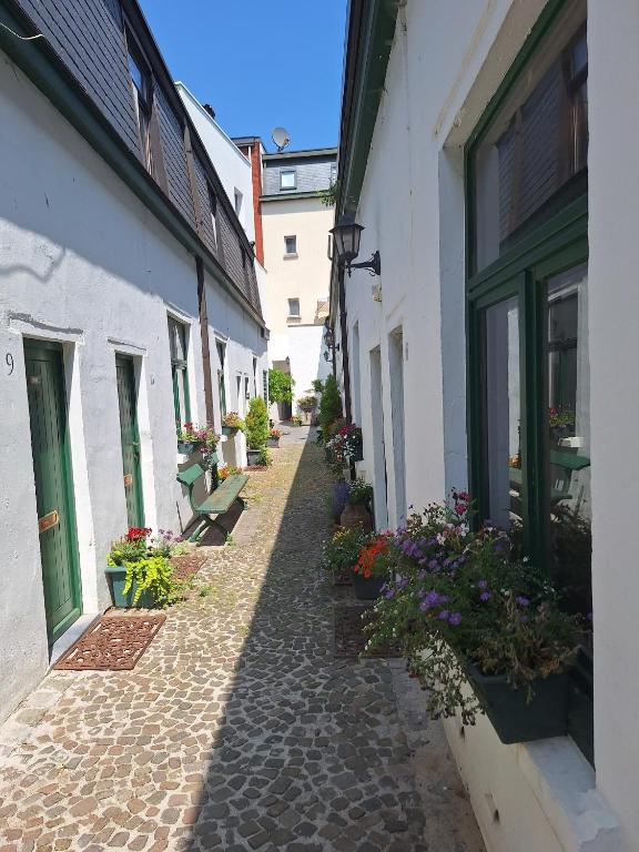 an alley between two buildings with potted plants at the hobbit house in Antwerp