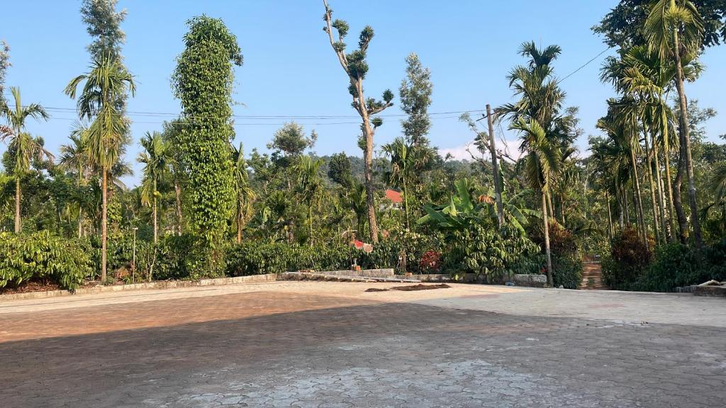 an empty parking lot with palm trees in the background at Coffee Mist Retreat in Hanbalu