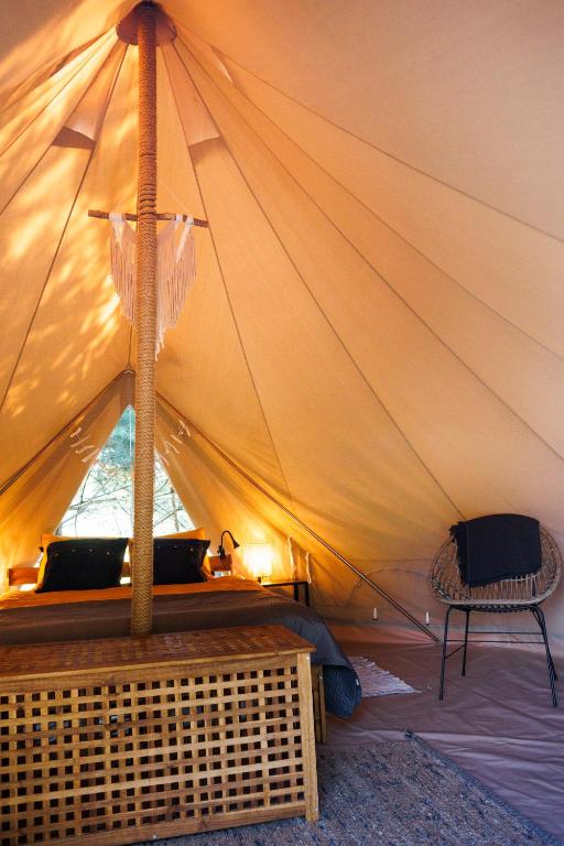 Glamping - Projekt Alpaka - Tent