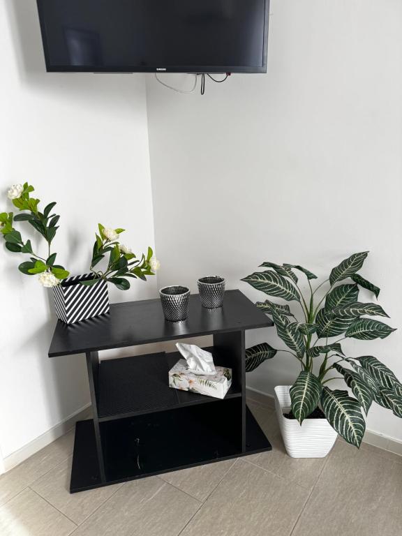 a black table with plants on it in a room at B&B La Meta in Benevento