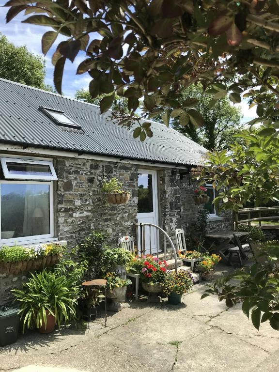 a stone house with potted plants in front of it at Sgubor Delyn Aberystwyth in Llanrhystyd