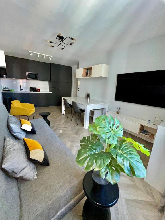 Heart of Cannes Azure Home