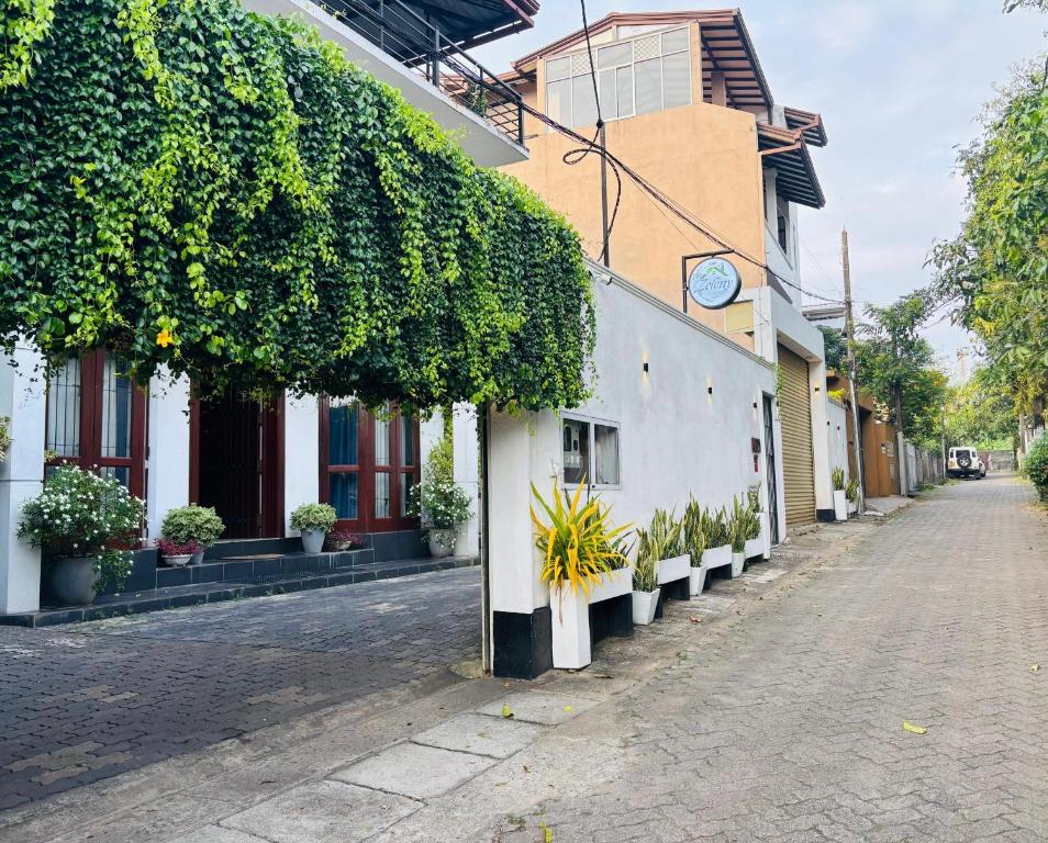 a street with plants on the side of a building at Zeleny Apartments in Nugegoda