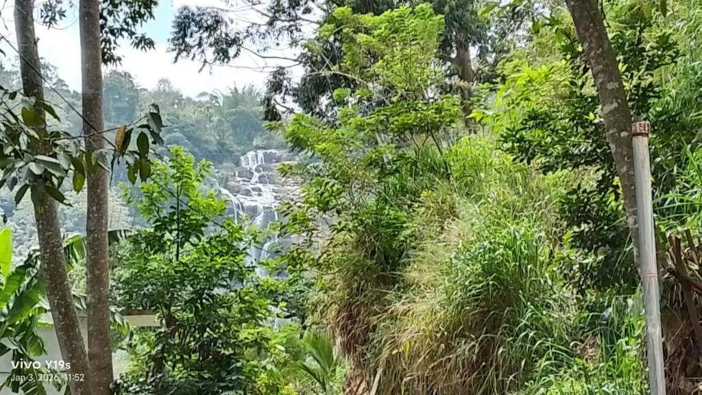 Happy Horizon Home Stay - 3