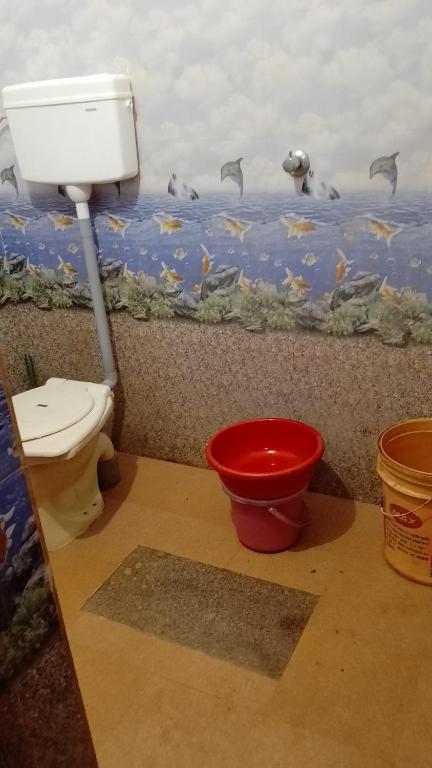 a bathroom with a toilet and a fish mural on the wall at Vitthala rukmini in Gokarna