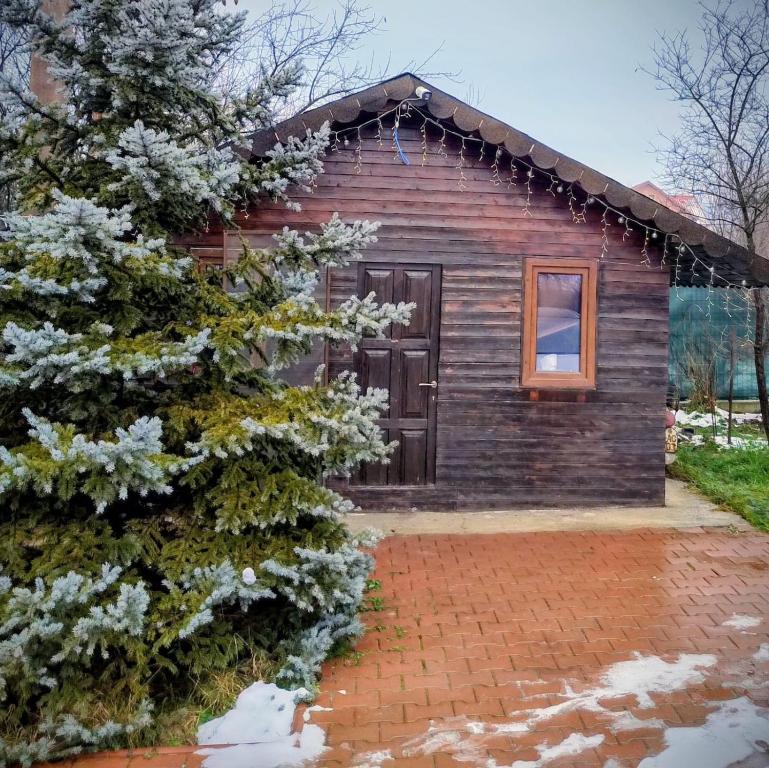 a small wooden house with a tree in front of it at Casuta din Livada 3 in Drăganu-Olteni