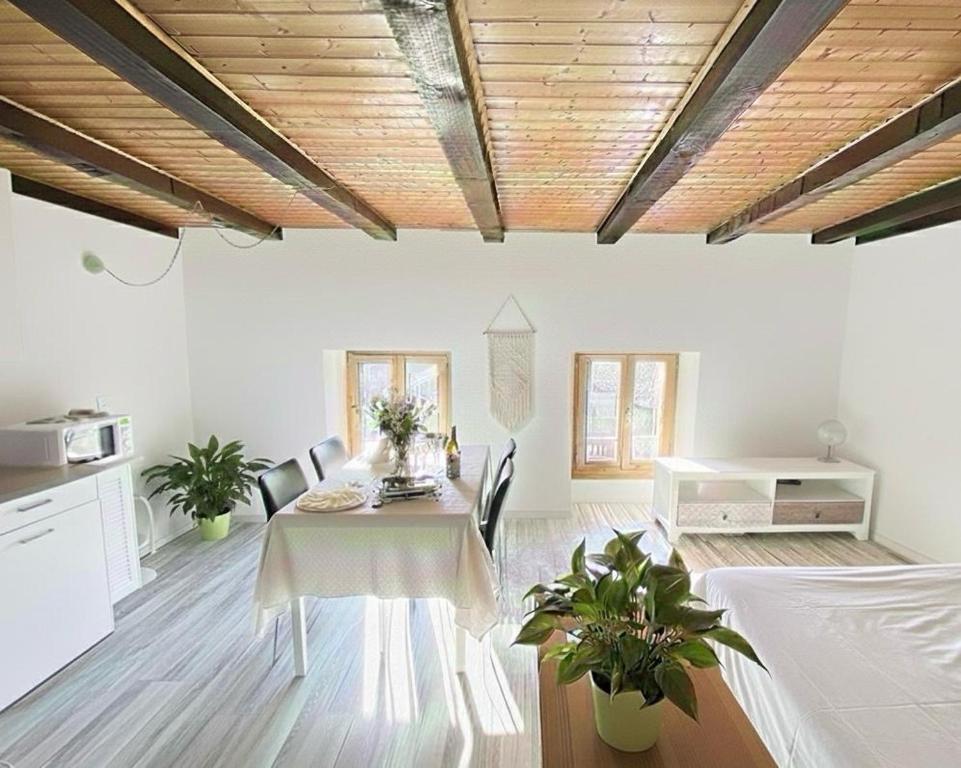 a dining room with a table and chairs in a room at Le Studio du Rhône in Saint-Léonard