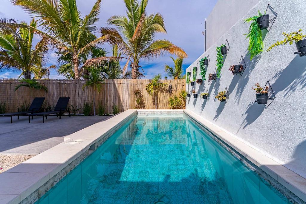 a swimming pool in the backyard of a house with palm trees at Modern House, Rooftop Ocean Views & Private Pool in El Centenario