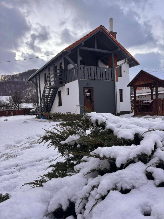 Apartamente Ambrus Praid - Superior Chalet