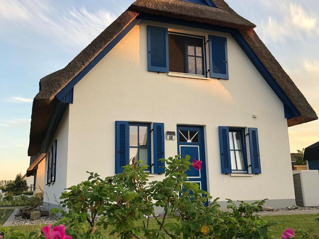 a white house with blue shutters and a tree at Reethaus "Alinde" in Zierow