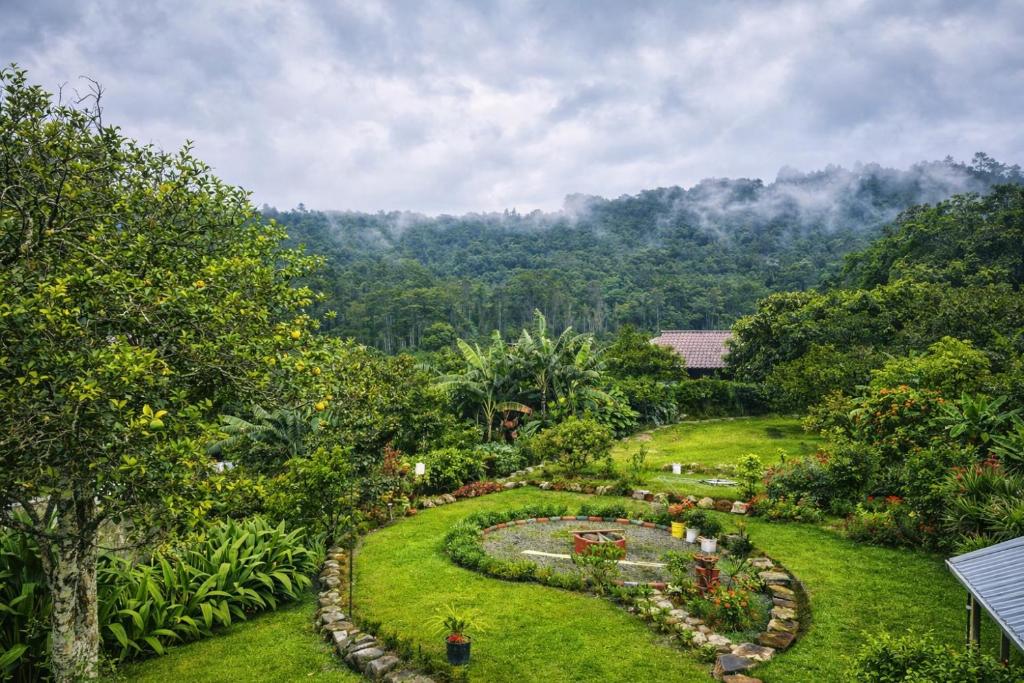 a garden in the middle of a lush green field at Hostal Vista Boquete in Boquete