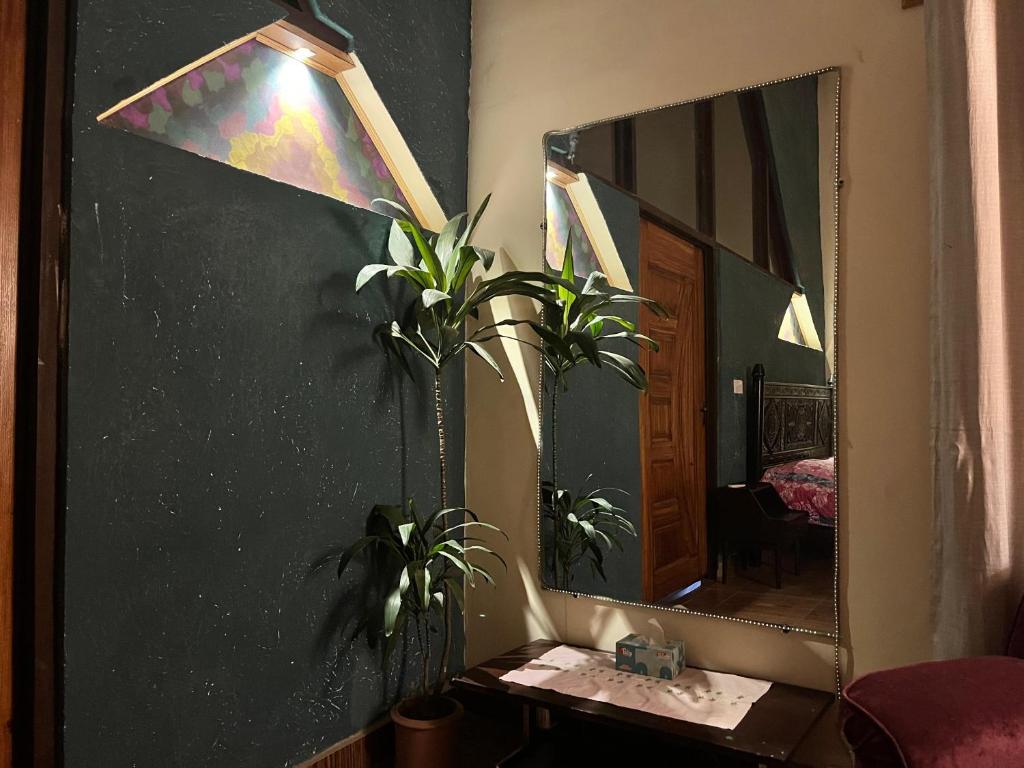 a mirror on a wall next to a table with a plant at Rooms In Central Rawalpindi in Rawalpindi