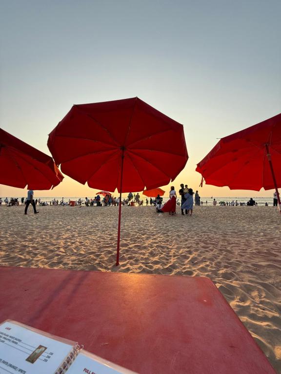 a group of red umbrellas on a beach at Baga Sea shine in Baga