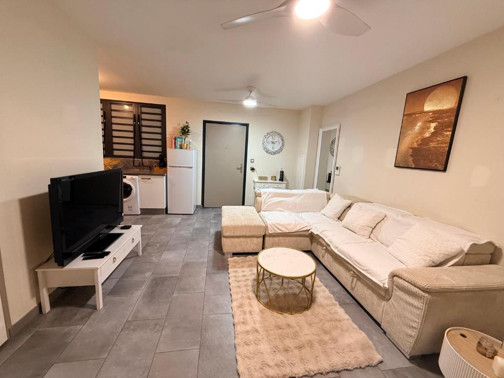 a living room with a couch and a flat screen tv at Les Douces Nuits Saint Pierre in Saint-Pierre
