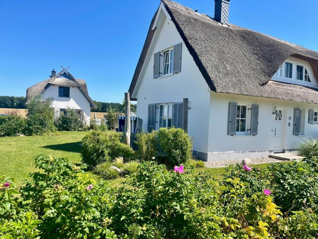 a white house with a thatched roof at Reethaus "Buntspecht" in Zierow