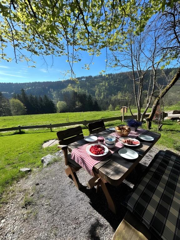 a picnic table with food on it in a field at Ferienhaus Bruno - Südhanglage mit 2 Schlafzimmern in Feldberg