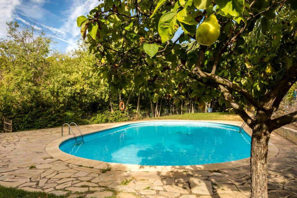 Bazén v ubytování Alberg La Solana nebo v jeho okolí