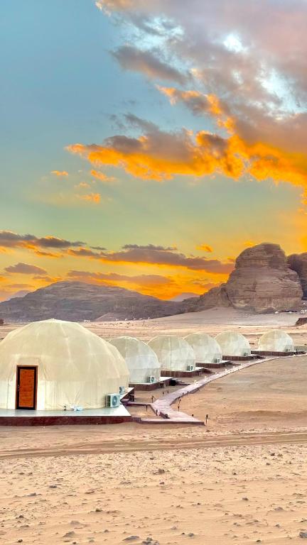 Tarf Wadi Rum Luxury Camp & Jeep Tours