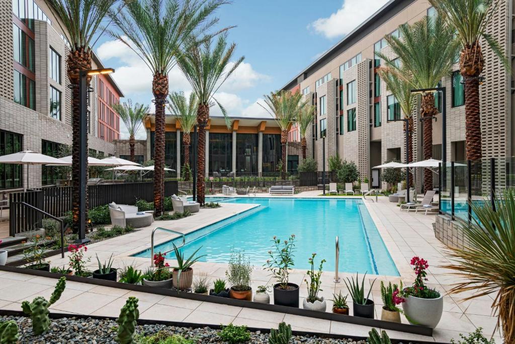 an image of a swimming pool at a hotel with palm trees at Element by Marriott Phoenix North Norterra in Phoenix